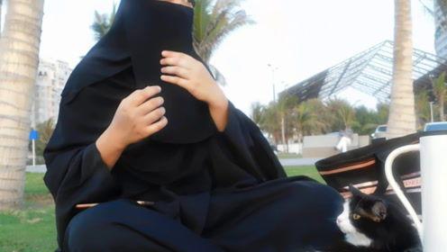 娱乐吃瓜君热搜,揭秘娱乐圈最新热点事件